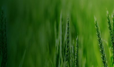 Husby Gård, Kvicksund